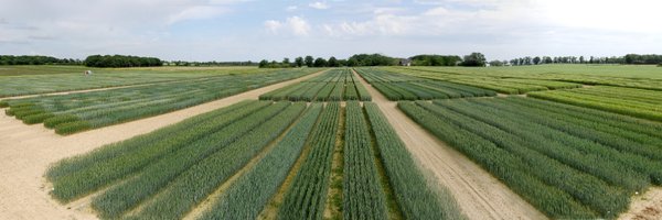 GEVESGip Profile Banner