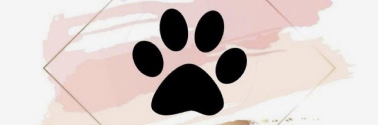 Roxy The Boston banner
