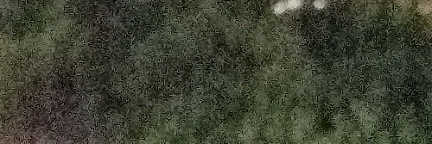 kckadali's profile banner image
