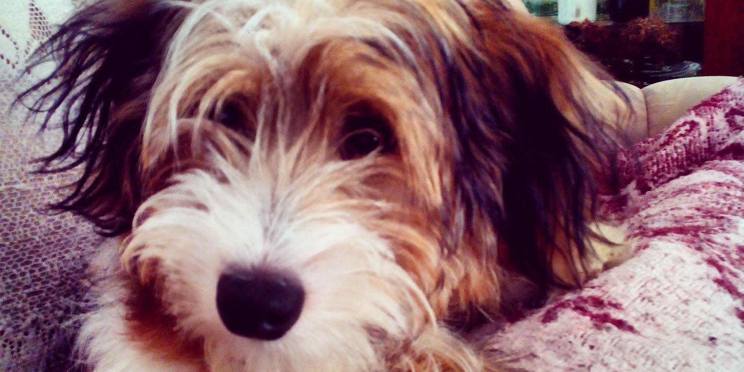 clement_cyril's profile banner image