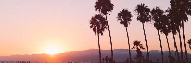 riccobonoc's profile banner image