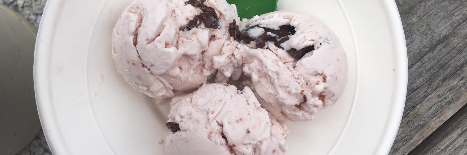 Sisters of Anarchy Ice Cream banner