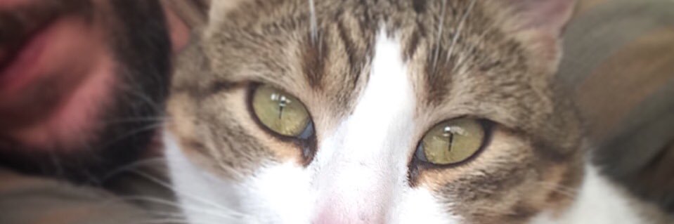 MericCosar's profile banner image