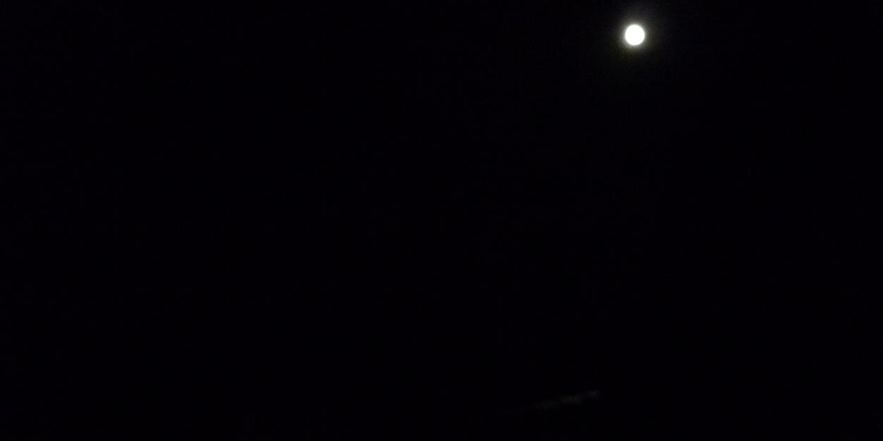 EarlPepper's profile banner image