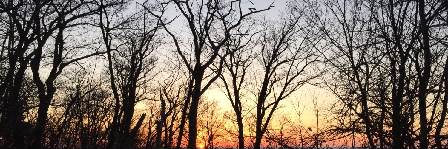 gennawk's profile banner image