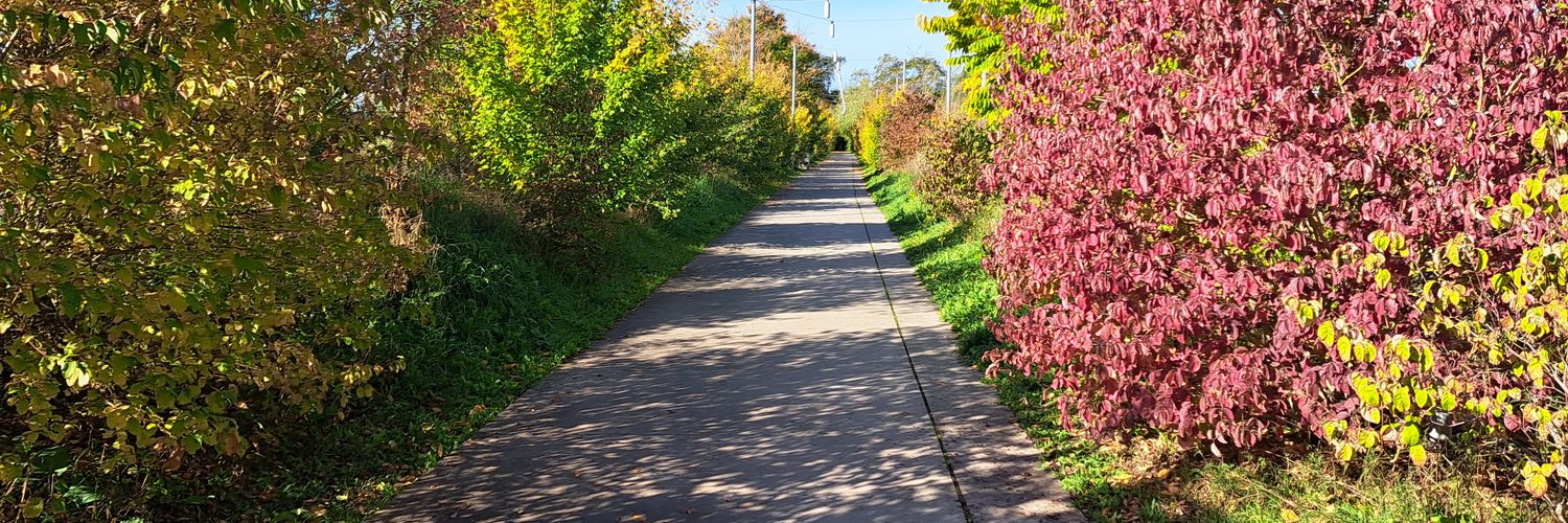 Julien Konczak banner