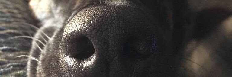 Fran_5695's profile banner image