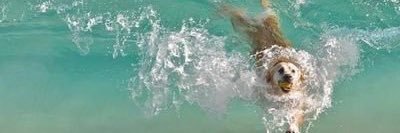 Lili📢Comenta banner