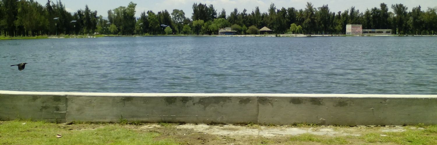 AdrienDelBosque's profile banner image