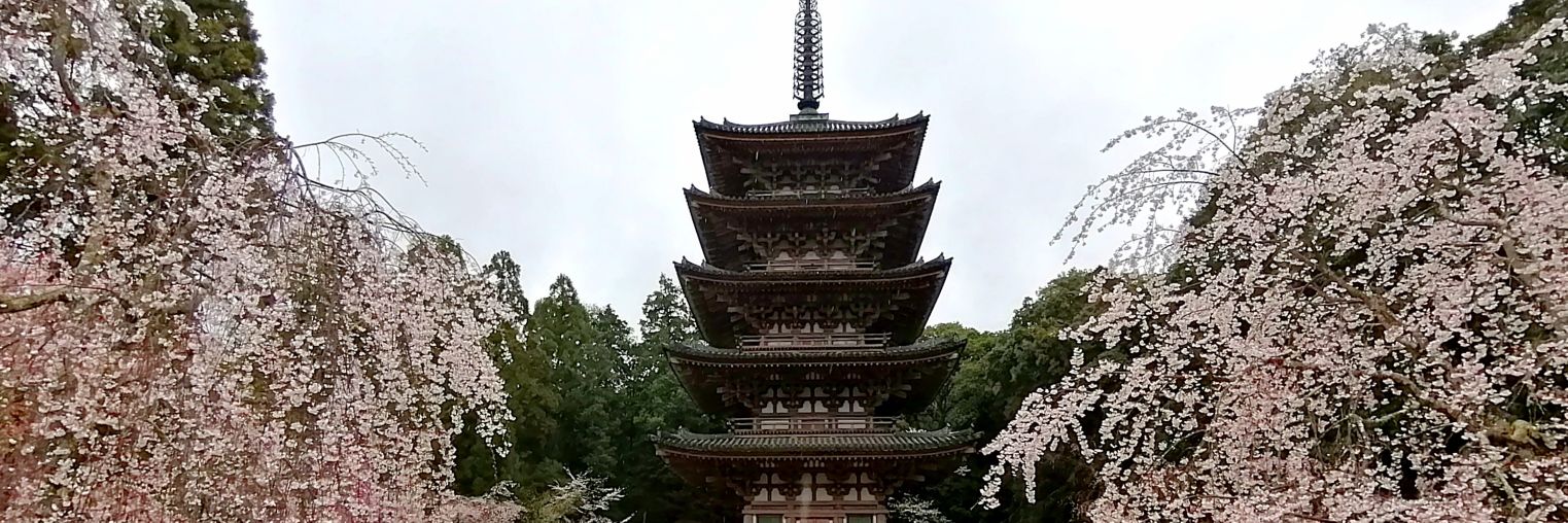Premium_Kyoto's profile banner image