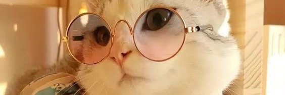 methapersiwi's profile banner image