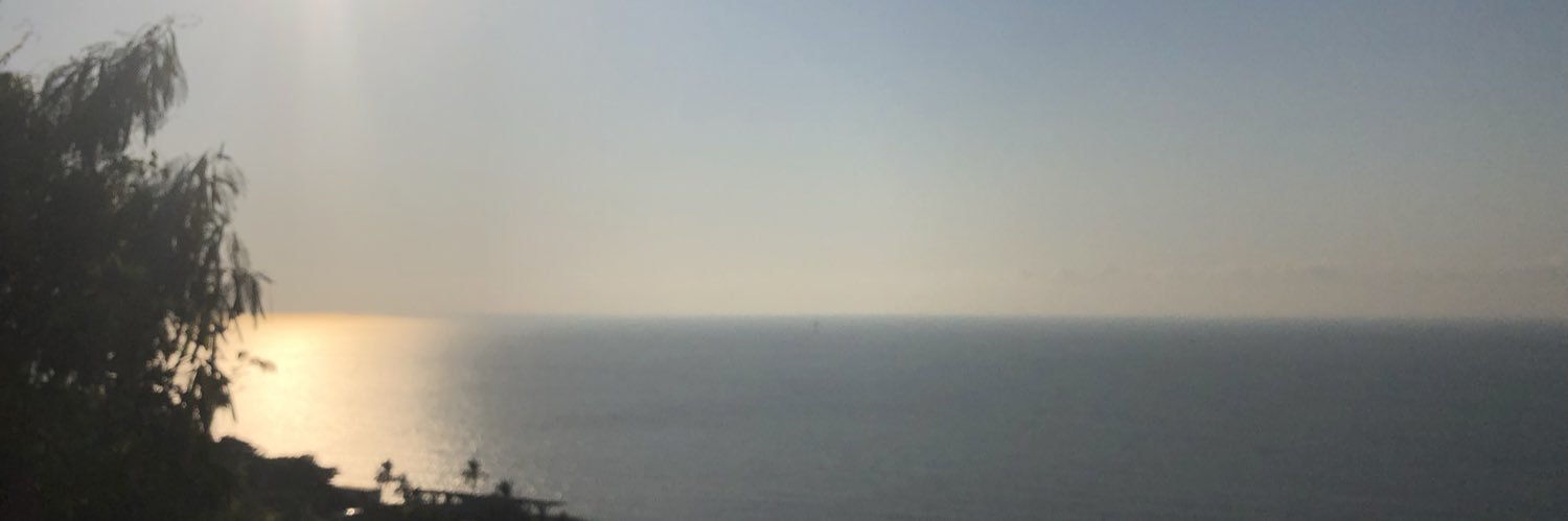 DALMARSANTOS2's profile banner image