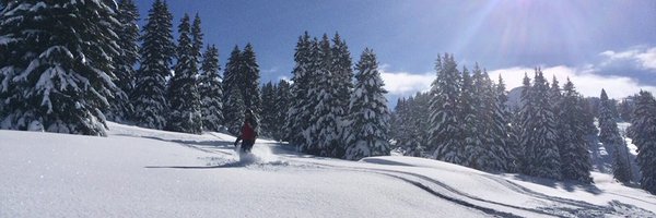 drwillscotton Profile Banner