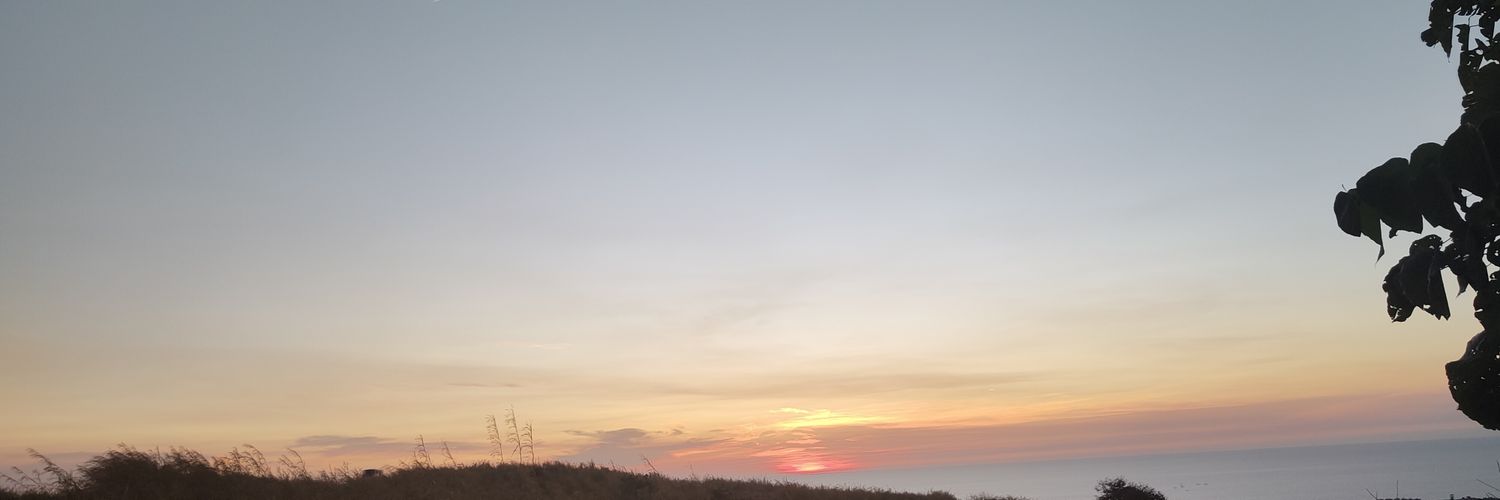 Yom banner