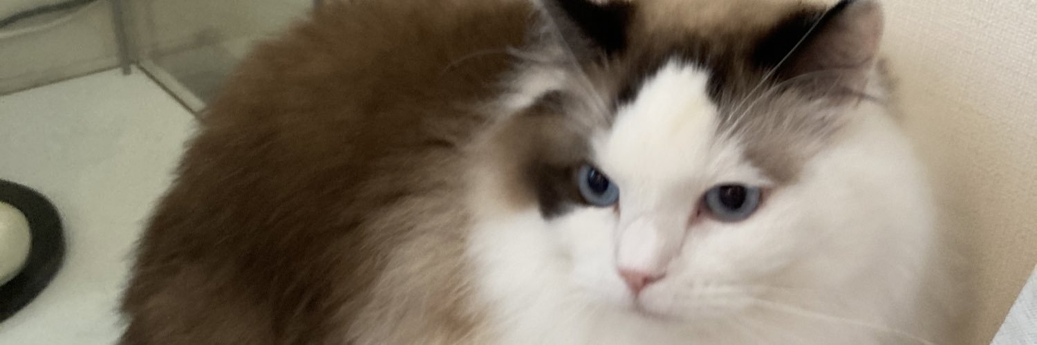 3d_17's profile banner image