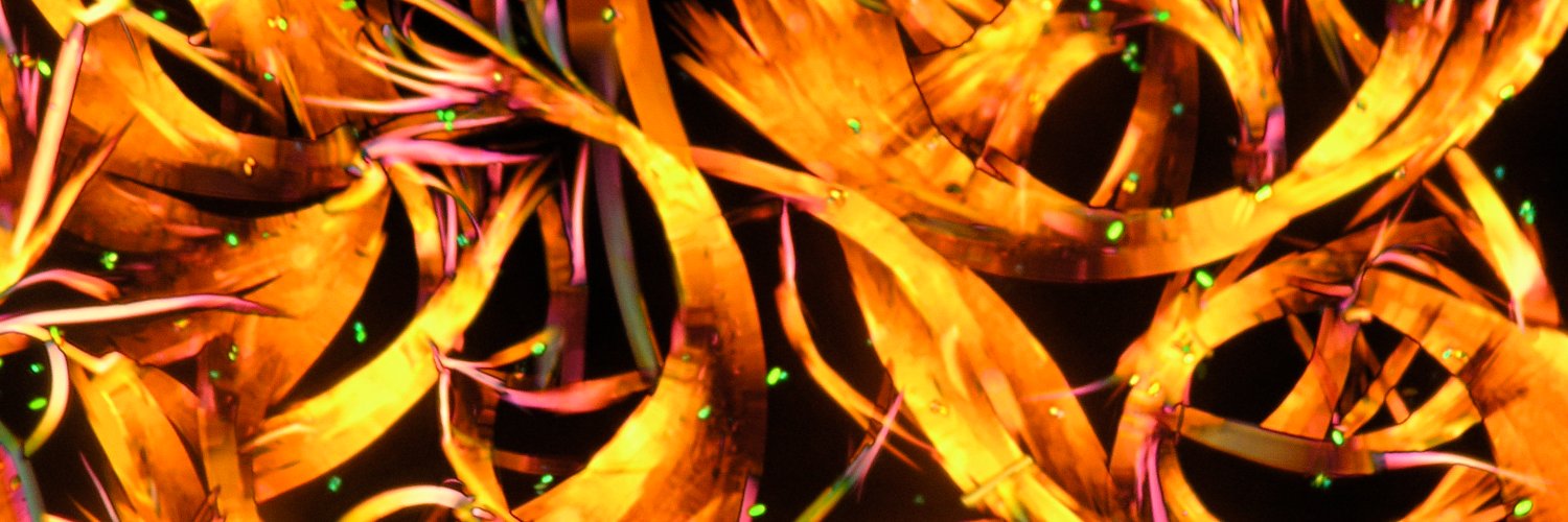 Faul Research Group banner