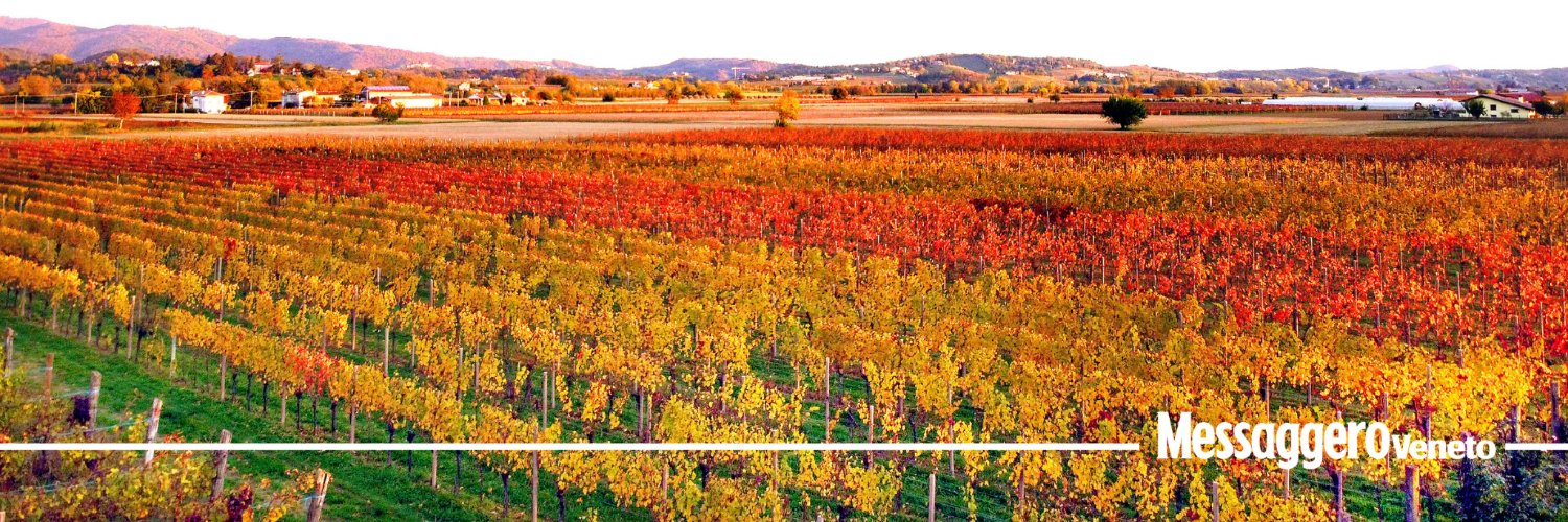 messaggeroveneto banner