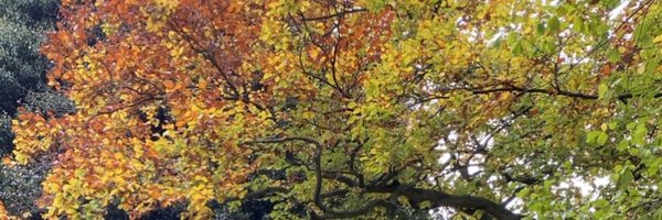 SLTLeighB Profile Banner