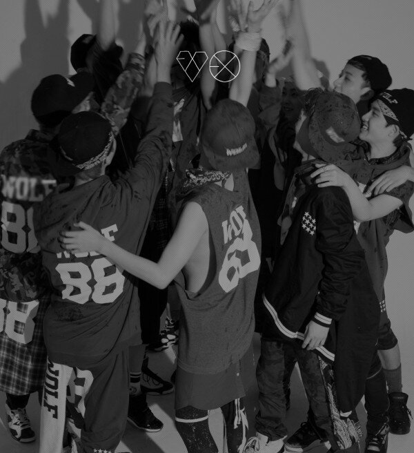EXOTICS_UNITED's profile banner image
