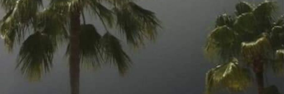 randomthngz's profile banner image