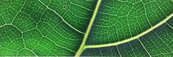maxpeef Profile Banner