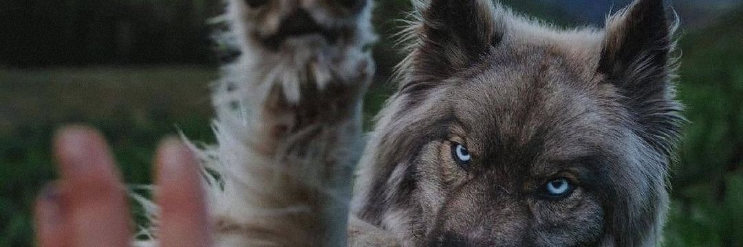 mekhp's profile banner image