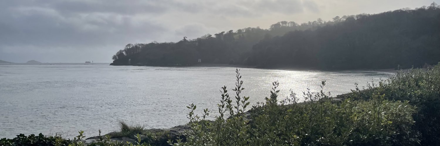 Ian Brownhill banner