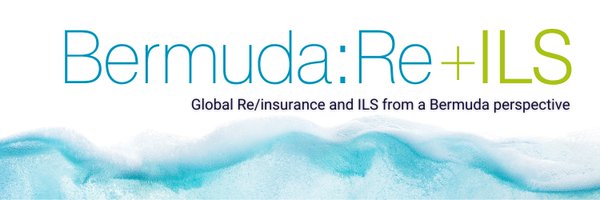 BermudaRe Profile Banner