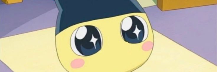 hiboo96 (ᓀ‸ᓂ) ‎☆ banner