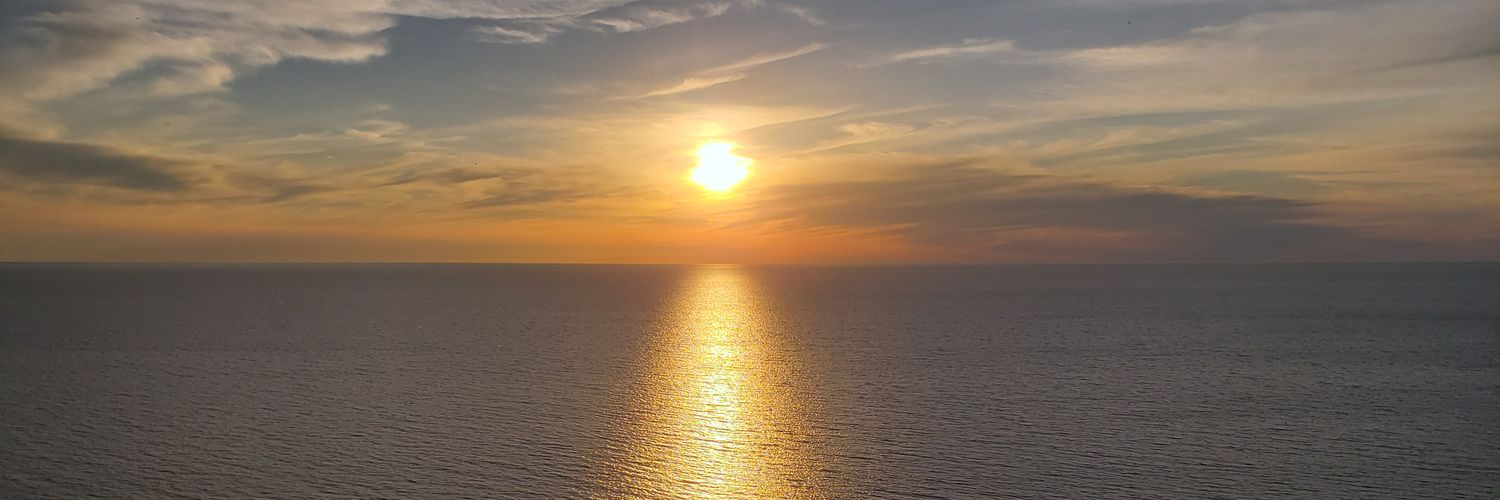 Palm_Tr33's profile banner image