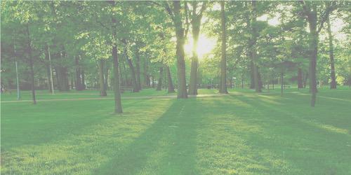 lightupmalik's profile banner image