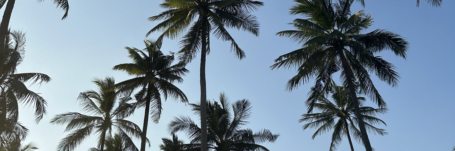 Francesca Toole banner