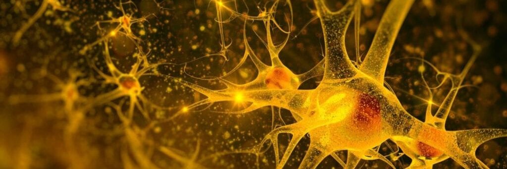BrainBerry ltd banner