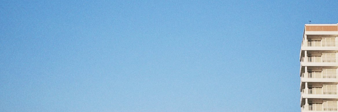 🌻 banner