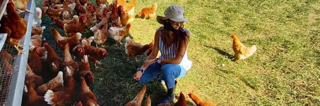 Milagros Castañeda banner