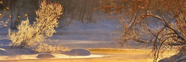 asdfghjk65546 Profile Banner