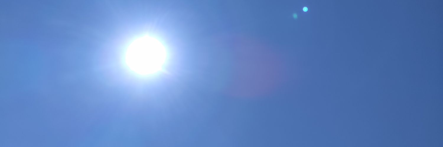 lulas_beekeeper's profile banner image