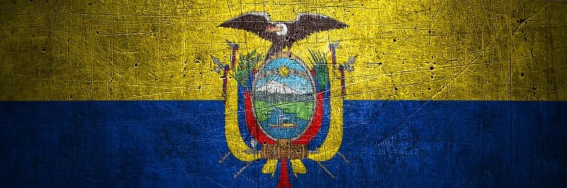 Juan Nebel's banner