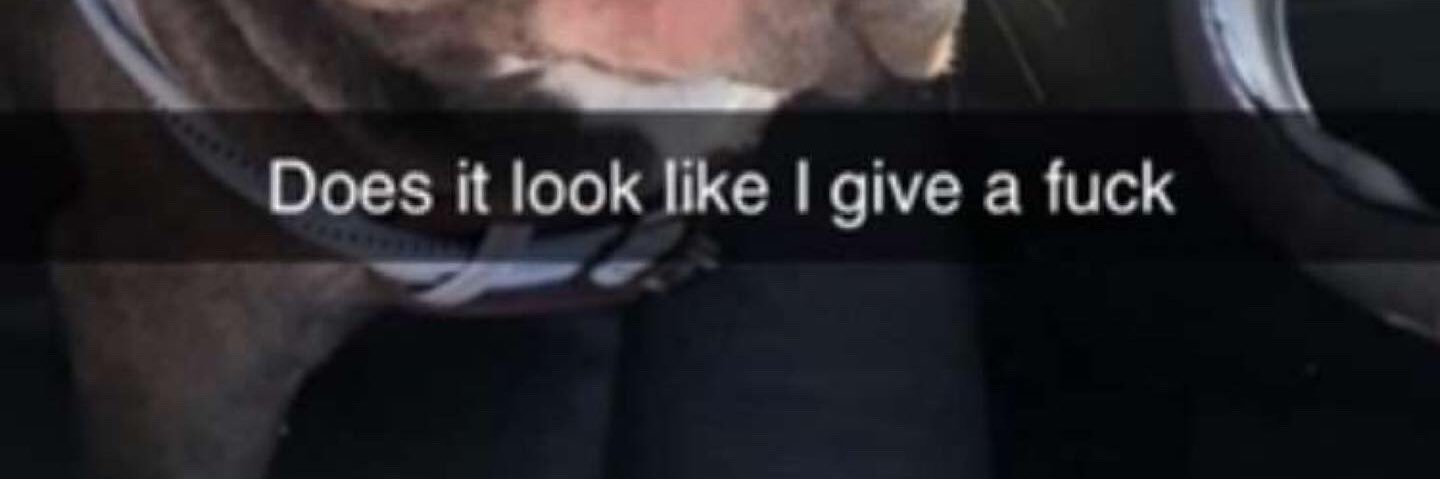 darkpostmalone's profile banner image