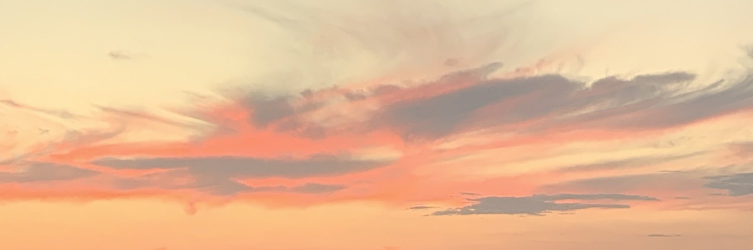 Etienne Truchot banner