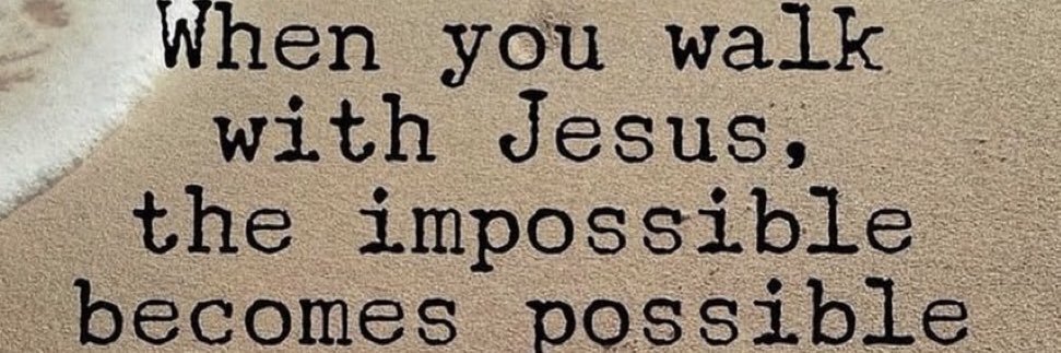 simona molnar banner