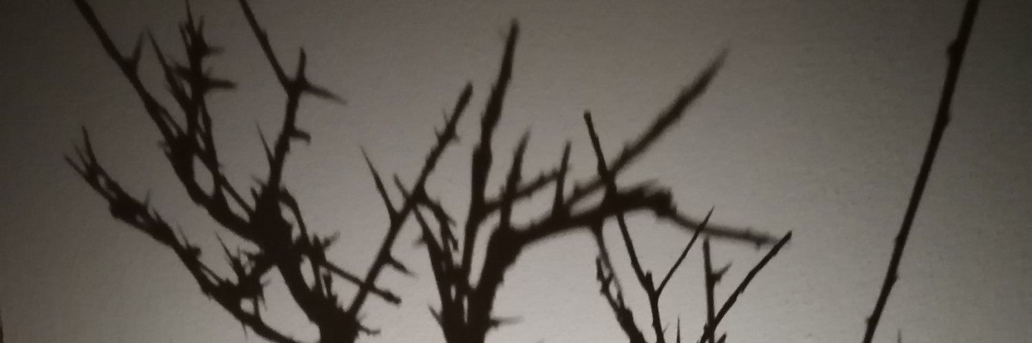 9lord_'s profile banner image