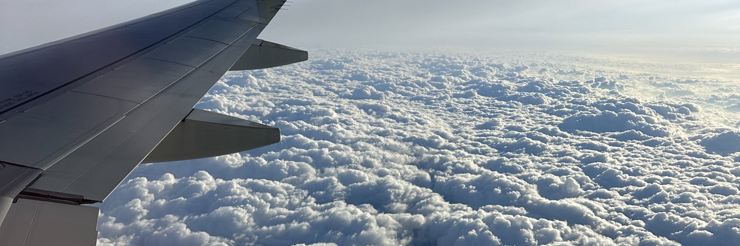 Princess Hester banner