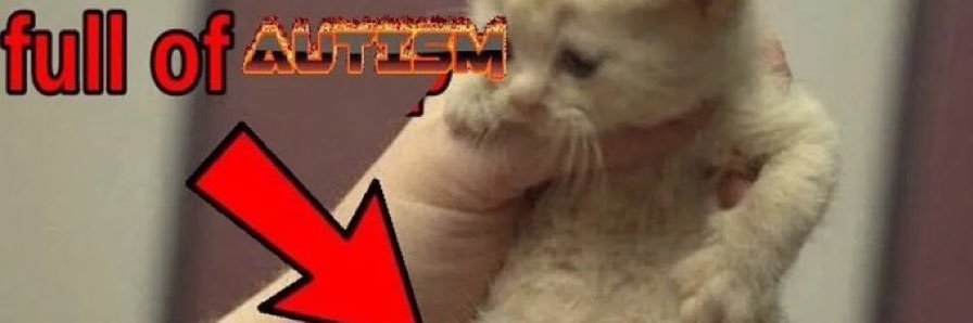 chazanite 🆖's banner