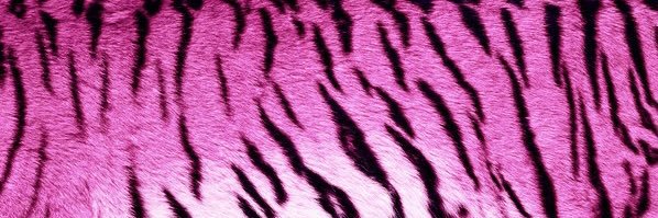 𝑻𝑪⋆'s banner