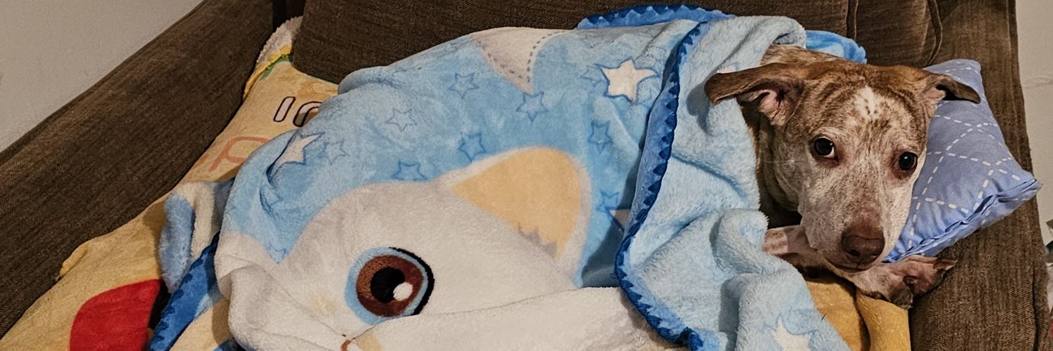 darkgodness's profile banner image