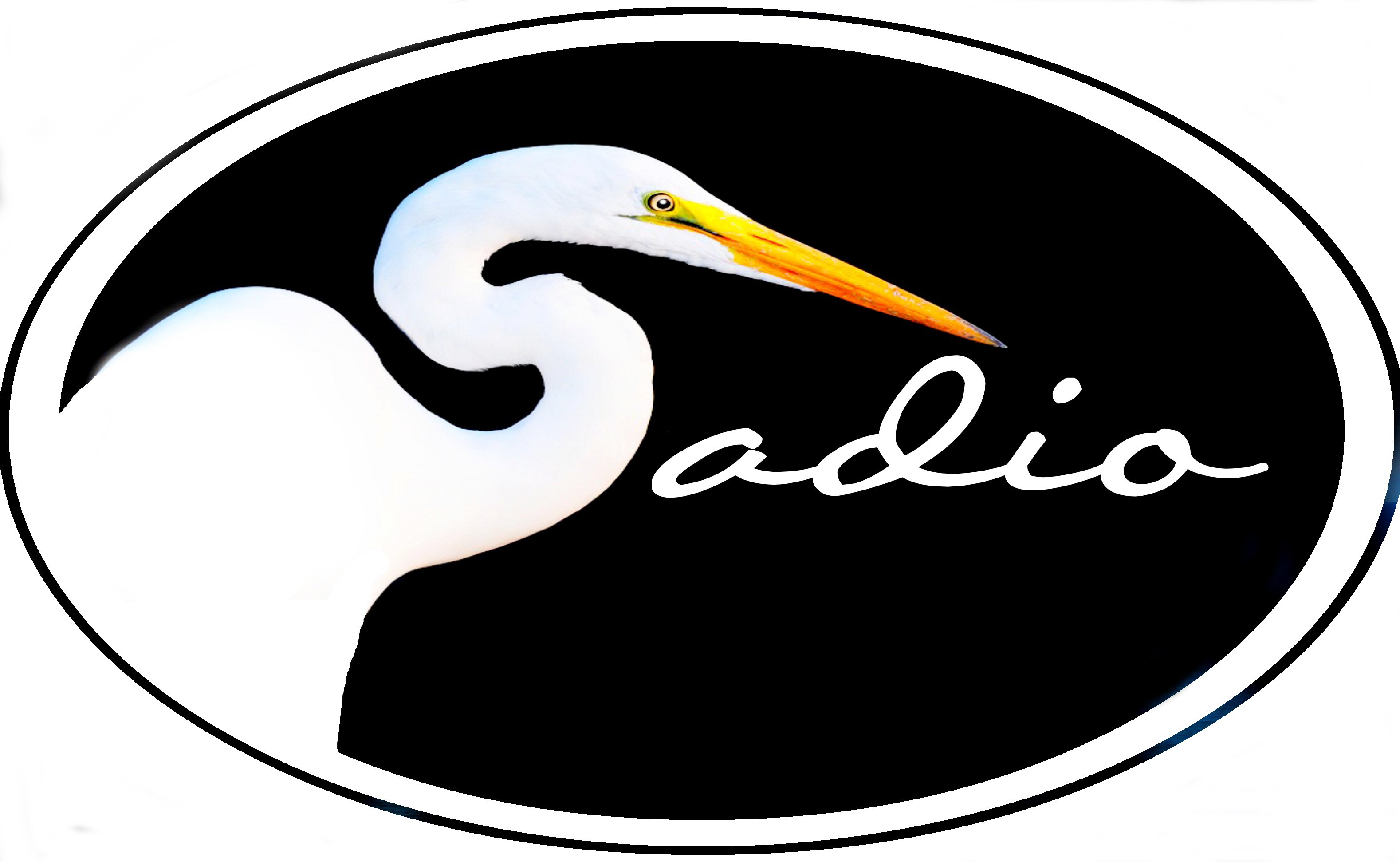 DesignerSADIO's profile banner image