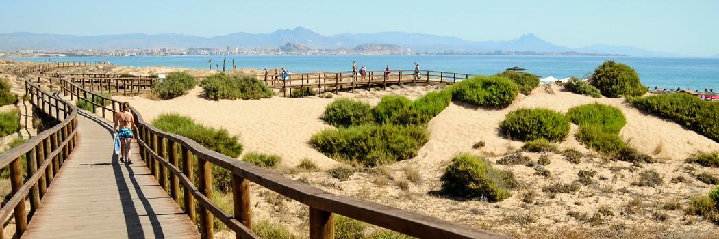 Top School In Spain banner