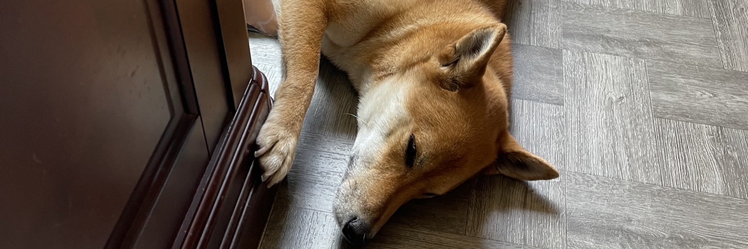 RobTalamantes banner