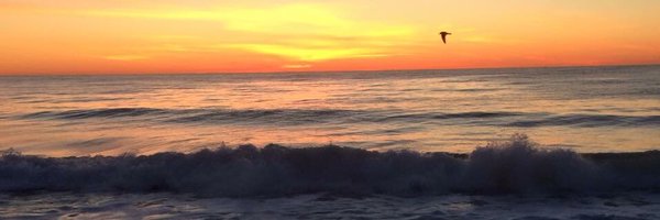 realtormic Profile Banner